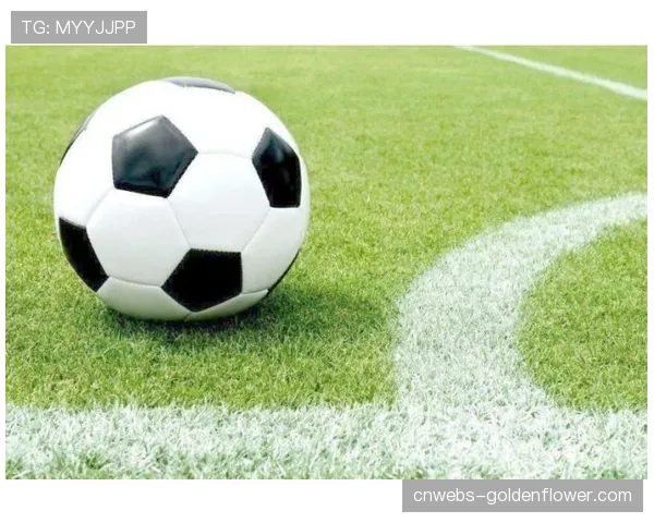 西甲基金会在马德里贫民社区启动“足球回归街头”青训计划 西甲基金会在马德里贫民社区启动“足球回归街头”青训计划